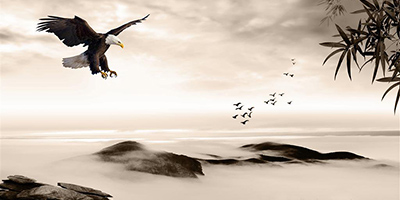 P(gun)ʲô(hu)L(fng)ˮ