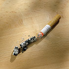 Beständig gegen Hitze - Laminatboden von Kronoflooring, Parkettboden