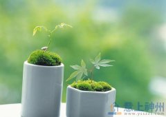  С�����Gɫֲ��[����ע�� 