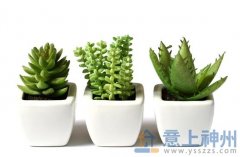  �b�޺��������҃�(n��i)��ζ 