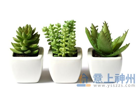 �Gɫ��������҃�(n��i)��ζ