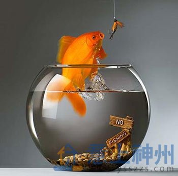 家居風(fēng)水設(shè)計(jì)