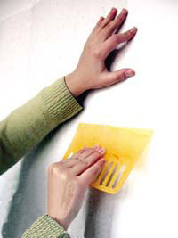 �b��b�މ�����N��(bi��o)��(zh��n)