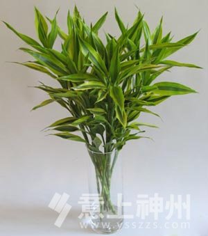 家居裝修裝飾裝修裝修設(shè)計(jì)家居設(shè)計(jì)新房裝修老房裝修北京裝修