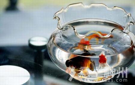 家居風水裝修風水家居設計