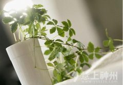 ����W(xu��)�I(y��)�p�S�� �Ӽ��L(f��ng)ˮ���æ