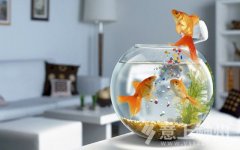 �͏d�b����L(f��ng)ˮ�ϑ�(y��ng)ע����Щ��