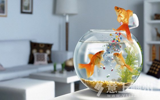 裝飾裝修,居家裝修,客廳裝修風(fēng)水,裝飾風(fēng)水