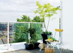 �����ڹP��������_(t��i)�b�����z��