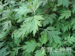 С���ݣ�������