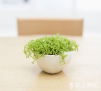 ��e�Ҿ���ȾС֪�R