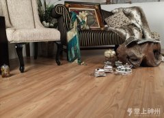 �Ă�С�[�T���p�ɱ�e�h(hu��n)���ذ�