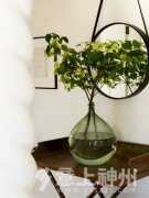 �|ƿ���R���L(f��ng)ˮ�W(xu��)