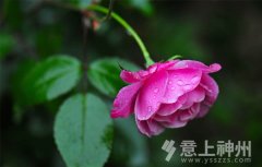 �҃�(n��i)�h(hu��n)�������b�