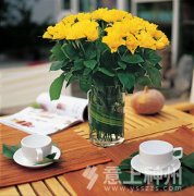 �r���[�Ű˴�ԭ�t