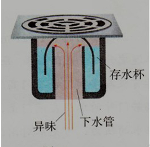 �l(w��i)���g�b������һ���� ���c׃�ɶ�����