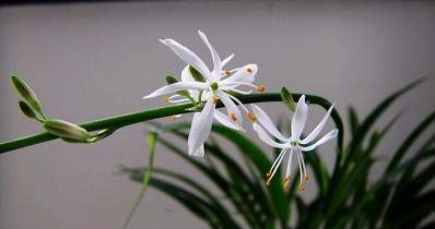 ԭ���҃�(n��i)�G��Ҫ�@ô�����������S���I���軨������